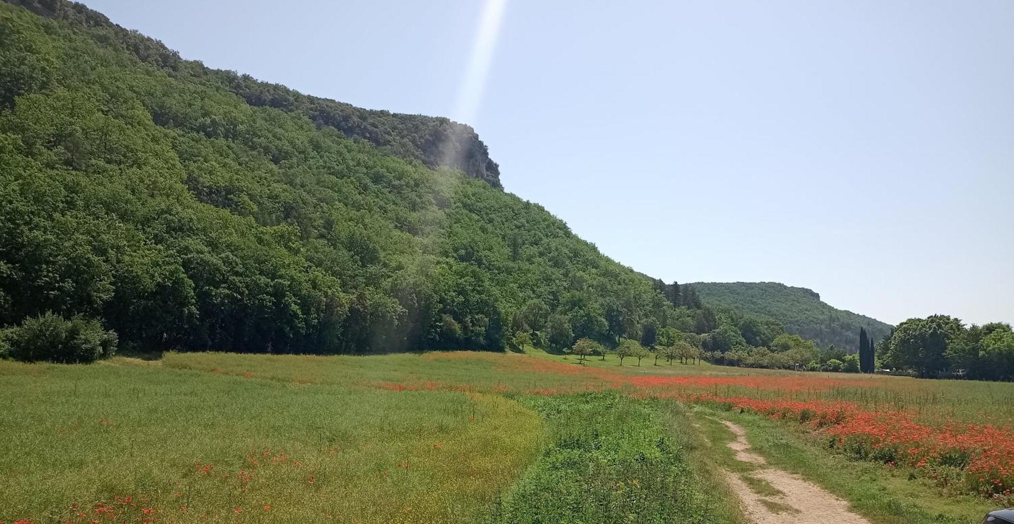 Les Jonquilles Bed & Breakfast Domme Bagian luar foto