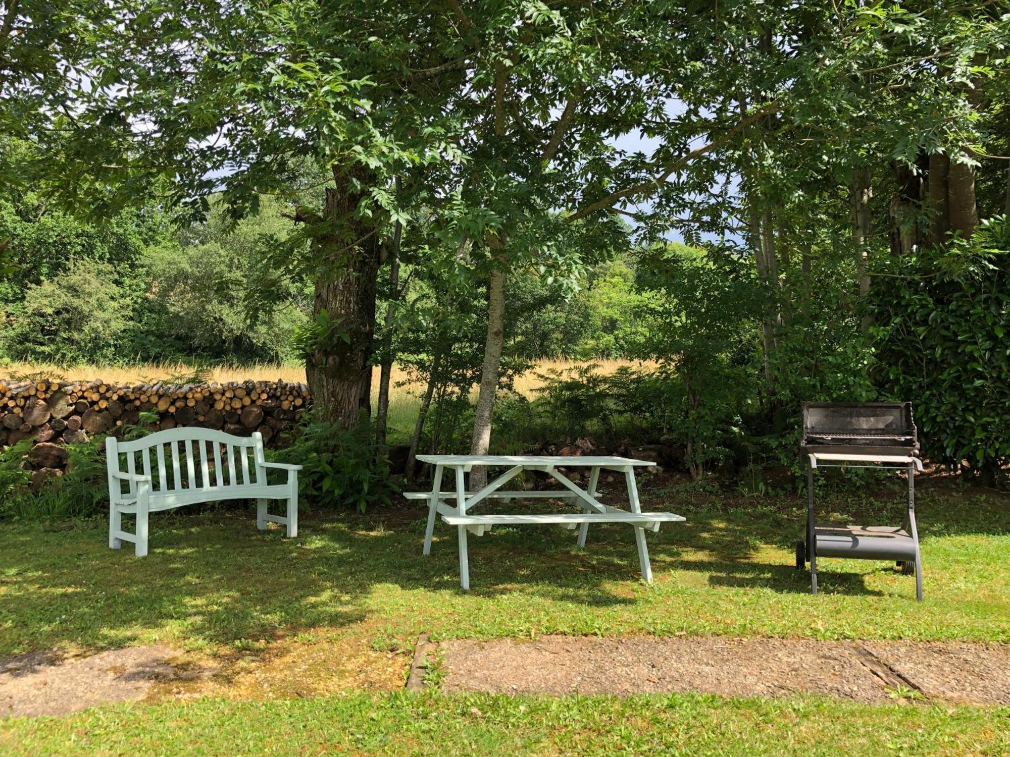 Les Jonquilles Bed & Breakfast Domme Bagian luar foto