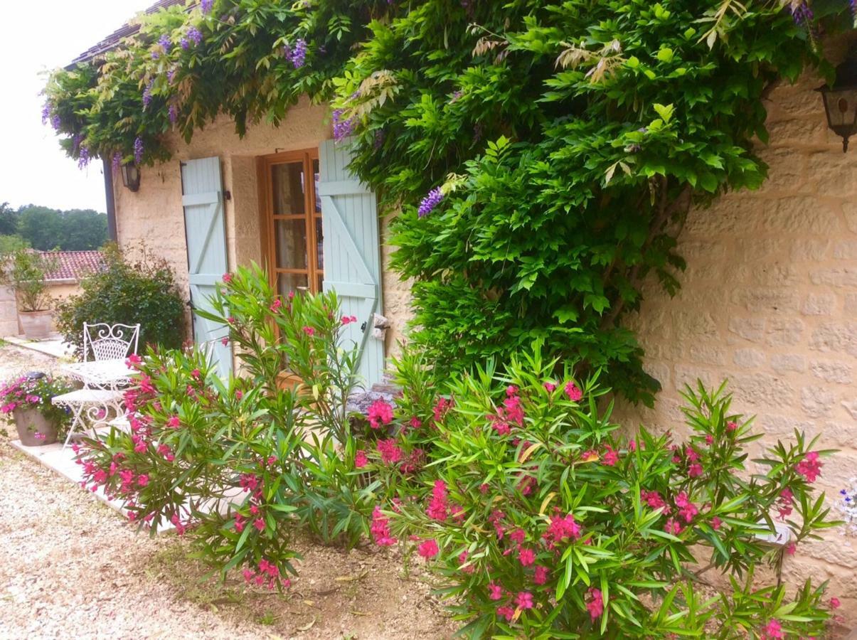 Les Jonquilles Bed & Breakfast Domme Bagian luar foto